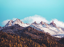 王曼昱因伤退出全运会乒乓球项目后续比赛